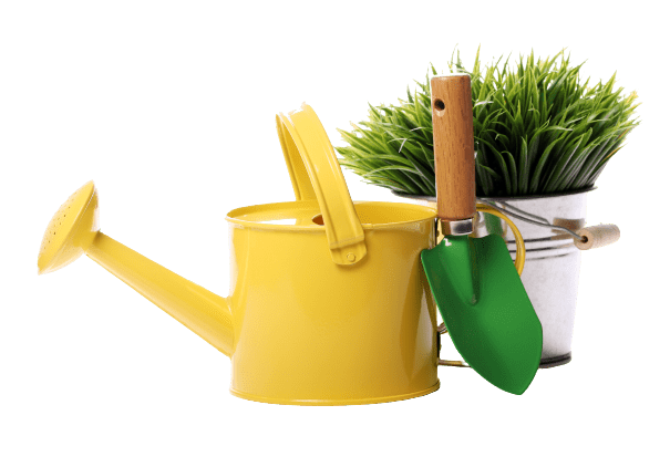 divi-landscaping-theme-11